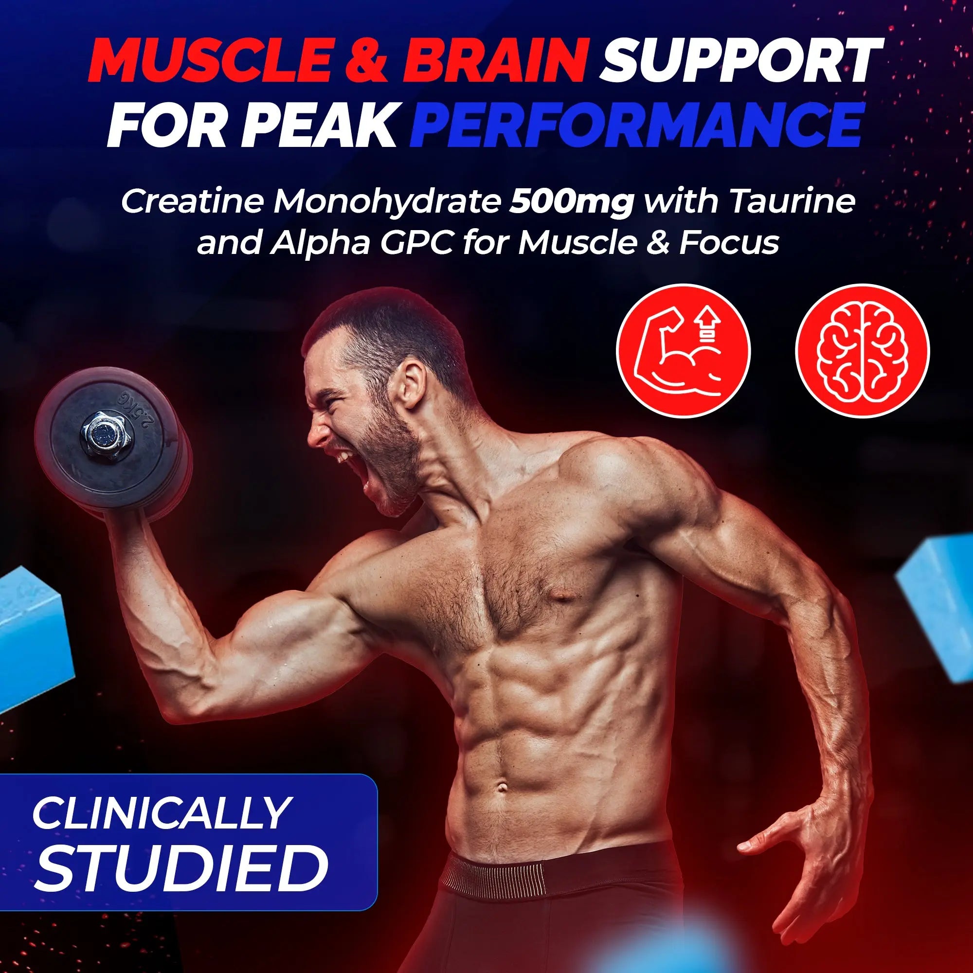 Ayaani Creatine Monohydrate Gummies - 120 Sugar-Free Blueberry Gummies - Muscle Growth & Strength Support - 5000mg Per Serving with L-Creatine, Taurine & Alpha-GPC - UK Developed - Ayaani