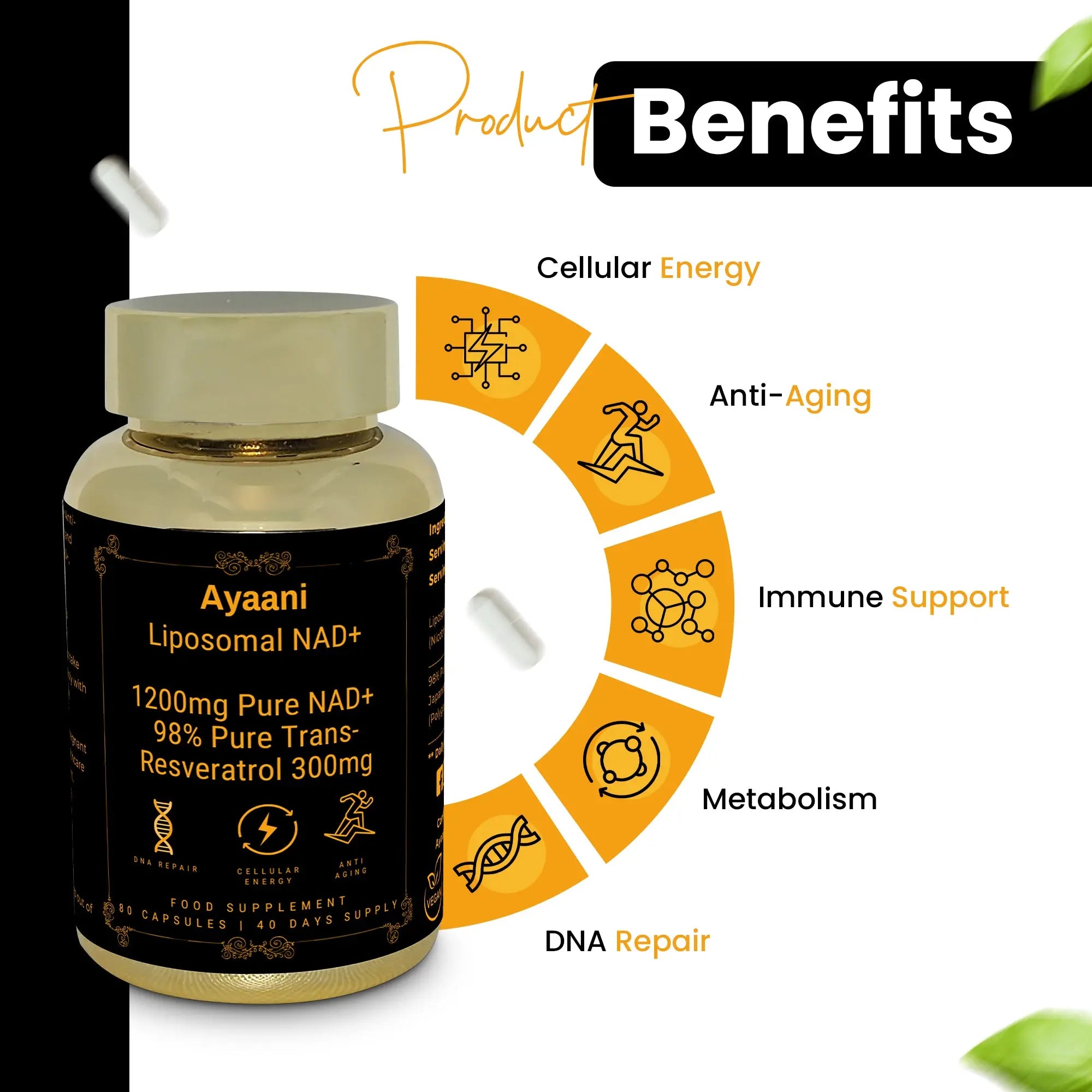 Ayaani Pure Liposomal NAD+ Supplements 1200mg - 80 Capsules - With Resveratrol 300mg - Anti-Ageing & Energy Support - Ayaani
