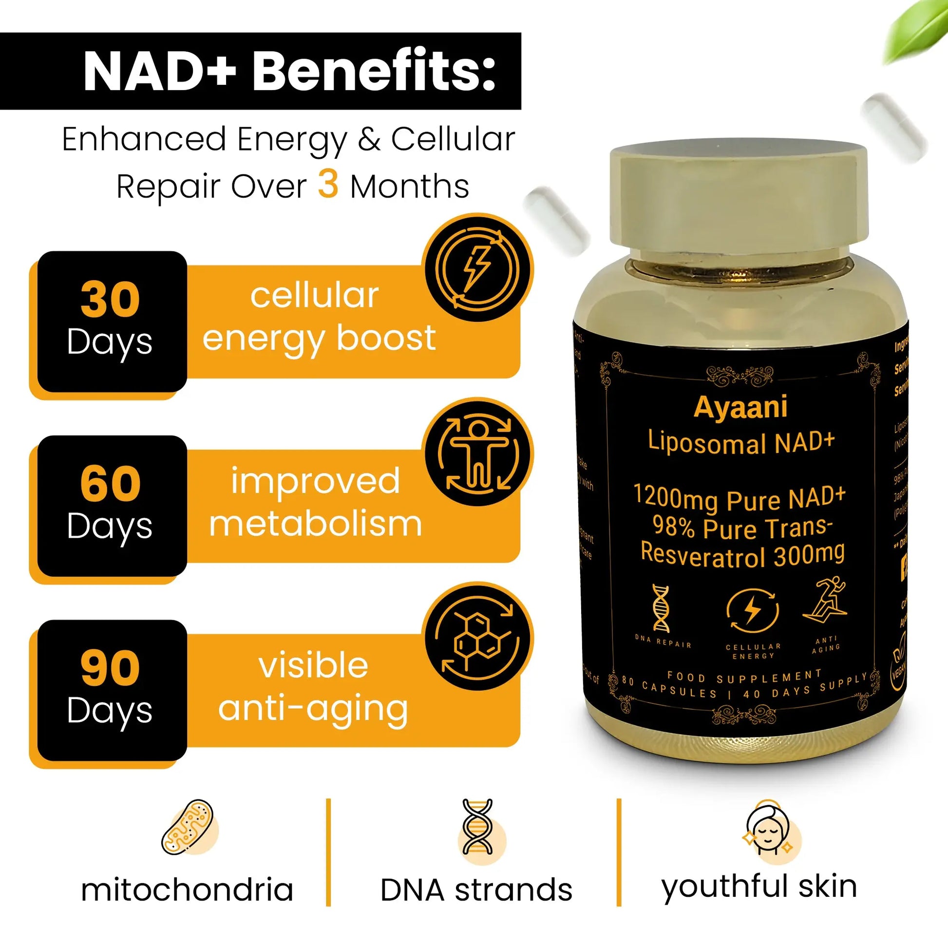 Ayaani Pure Liposomal NAD+ Supplements 1200mg - 80 Capsules - With Resveratrol 300mg - Anti-Ageing & Energy Support - Ayaani