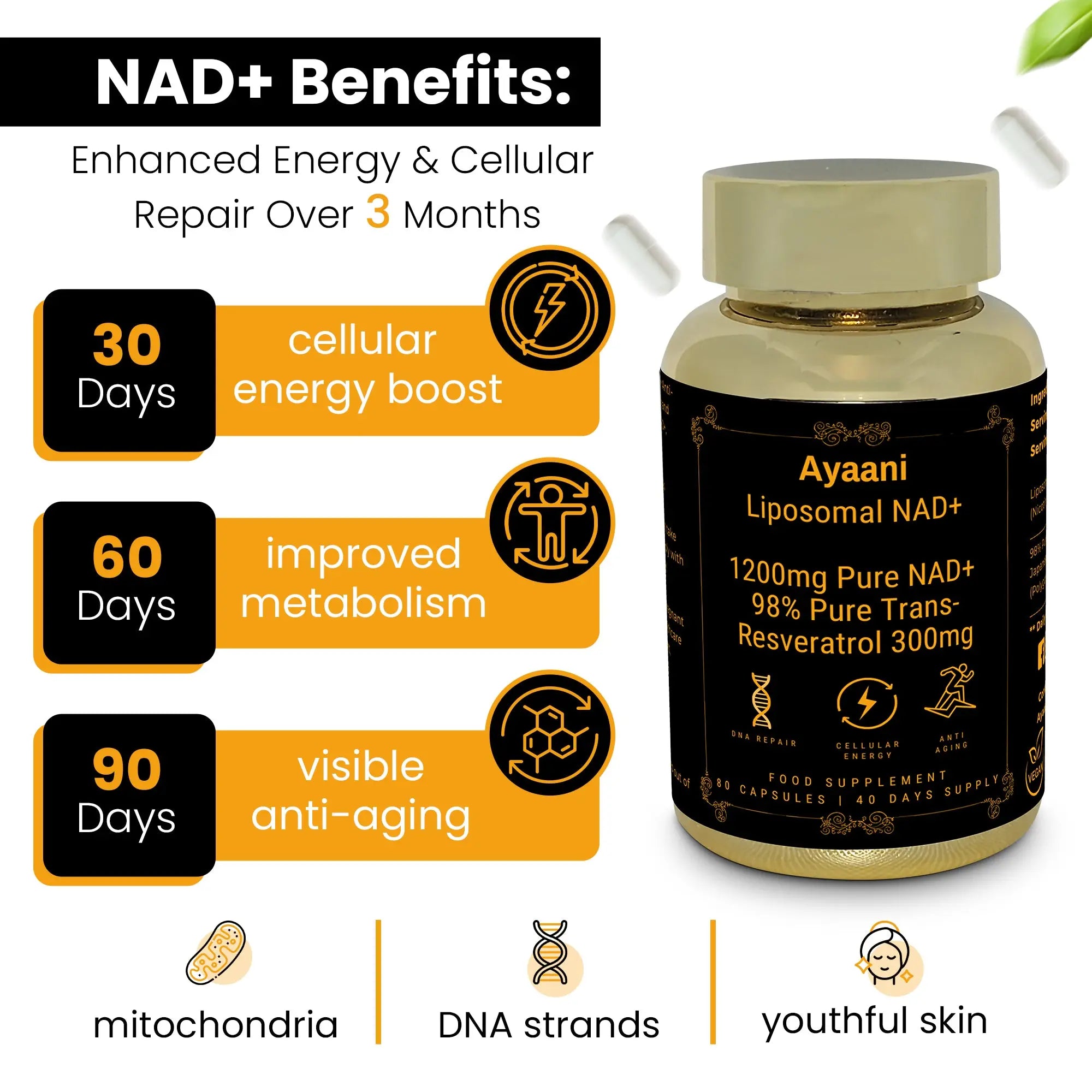 Ayaani Pure Liposomal NAD+ Supplements 1200mg - 80 Capsules - With Resveratrol 300mg - Anti-Ageing & Energy Support - Ayaani