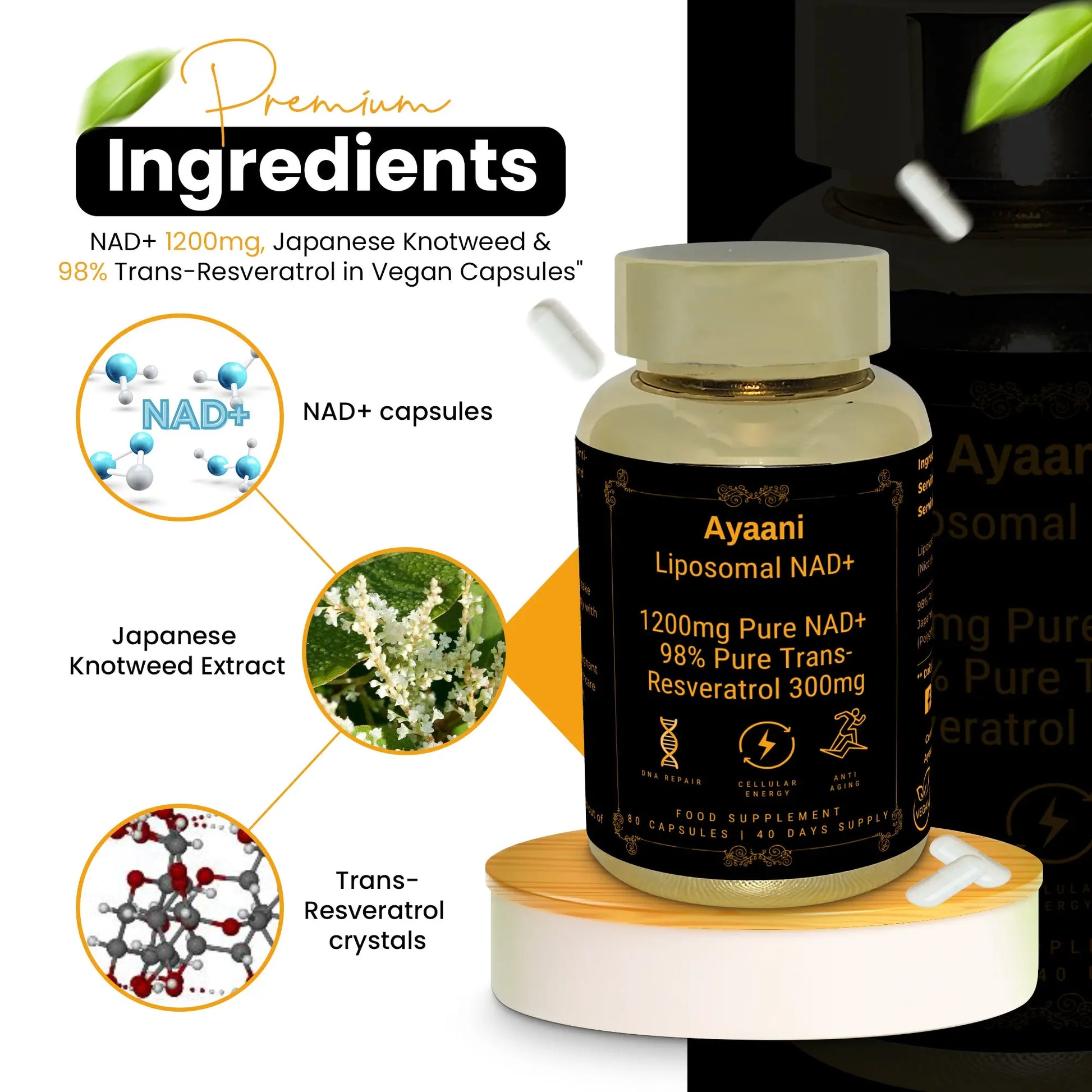 Ayaani Pure Liposomal NAD+ Supplements 1200mg - 80 Capsules - With Resveratrol 300mg - Anti-Ageing & Energy Support - Ayaani