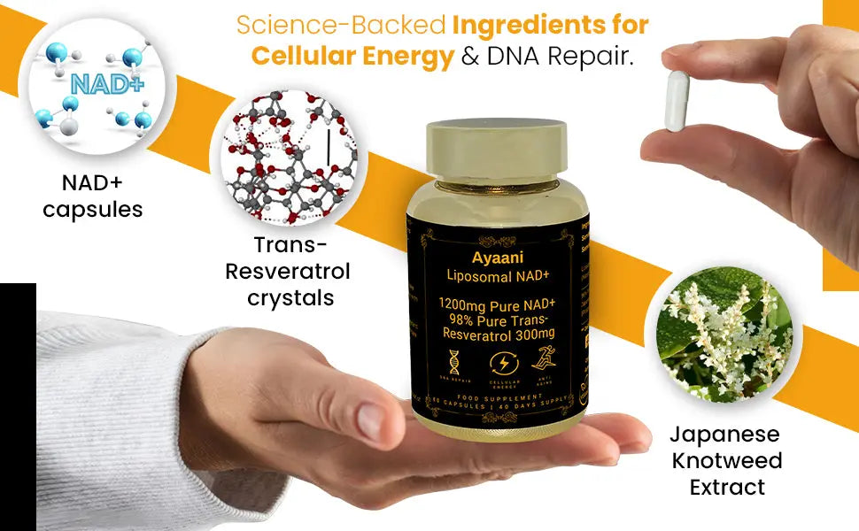 Ayaani Pure Liposomal NAD+ Supplements 1200mg - 80 Capsules - With Resveratrol 300mg - Anti-Ageing & Energy Support - Ayaani