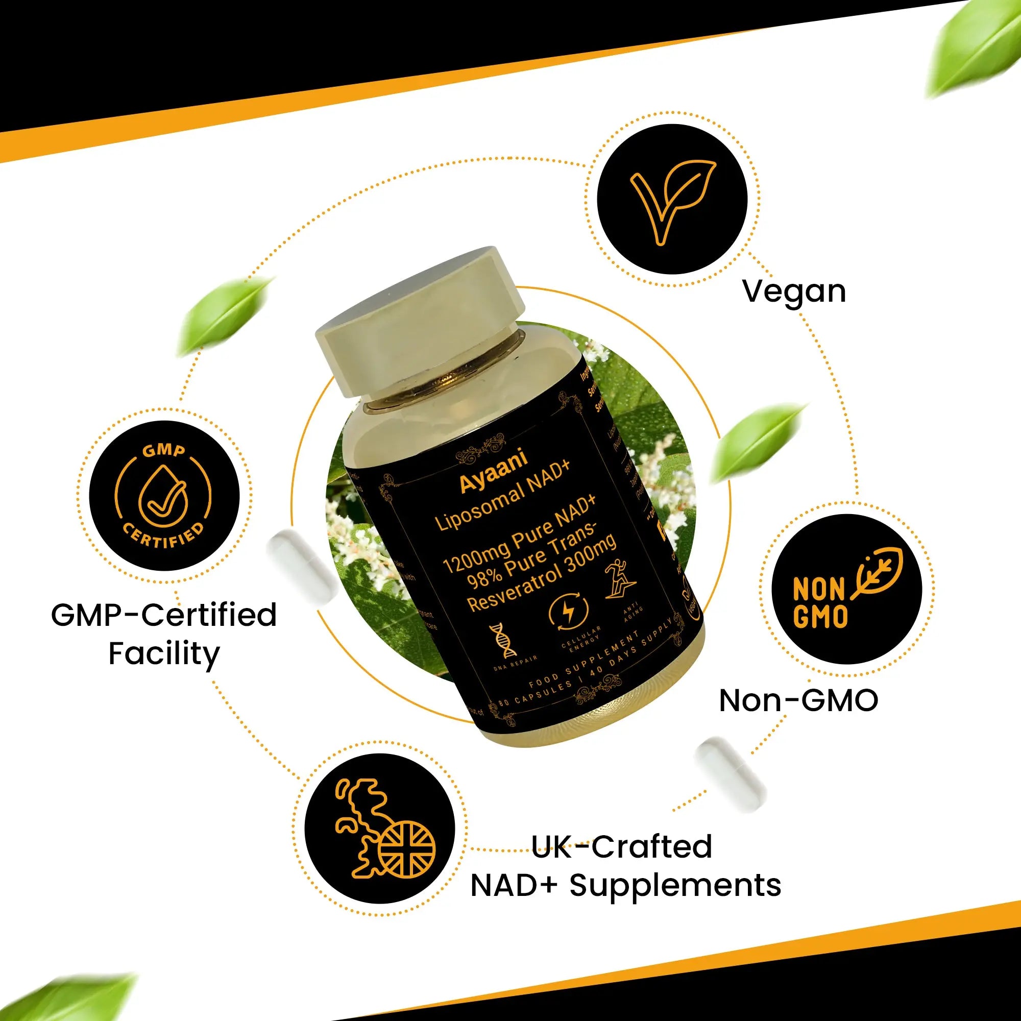 Ayaani Pure Liposomal NAD+ Supplements 1200mg - 80 Capsules - With Resveratrol 300mg - Anti-Ageing & Energy Support - Ayaani